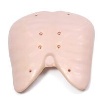 110502 Laerdal Resusci Anne Inner Chest Cover – Each