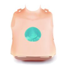 128-50650 Little Junior QCPR Chest Cover Light