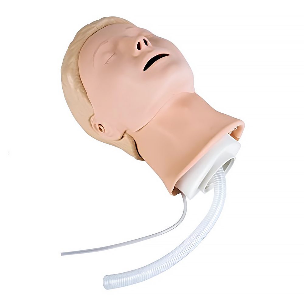 310200 Laerdal Head Complete Resusci Anne Basic