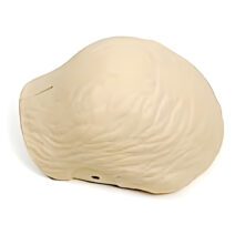 310201 Laerdal Resusci Anne Family Moulded Hair