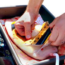 TrueClot - applying chest seal as a tabletop trainer