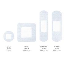 Sensitive Assorted Plaster