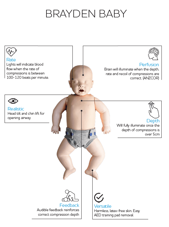 Brayden Baby diagram
