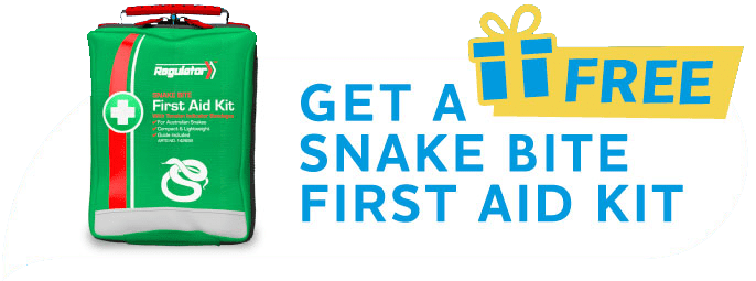Get-Free-Snake-Kit