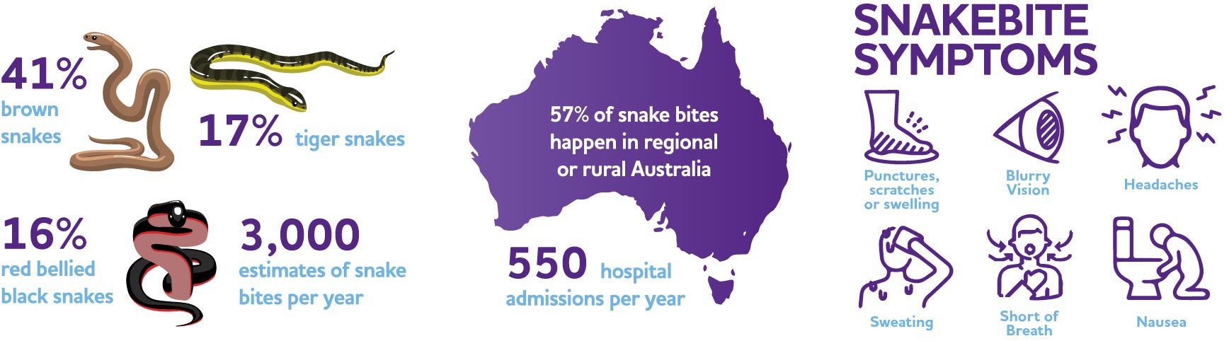Infographic-Snake-Bites