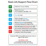 AEROGUIDE CPR Flow Chart Card 10 x 14cm