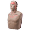 BRAYDEN PRO CPR Manikin (Bluetooth Connectivity)