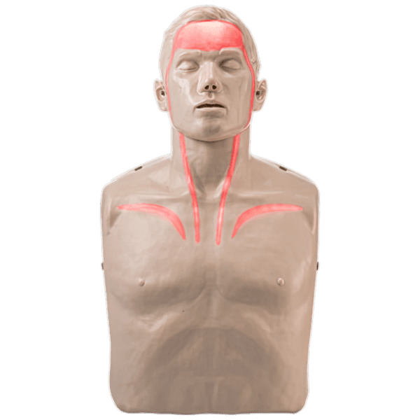 FAT-KP2_02_1000px_61ea8436d319bdf760d184d2b2742922.png