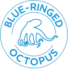 BUTTON Octo