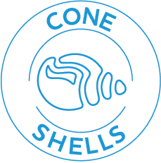 BUTTON Shell
