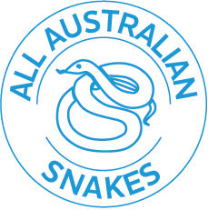 BUTTON Snake