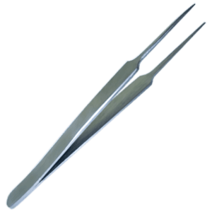 AFSF12_01_1000px_7f40e15bb9451290a7431fb322240191-2.png
