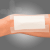 AP350_02_1000px_314a03ec4fe08b987ec2ab7828a11802-2.png