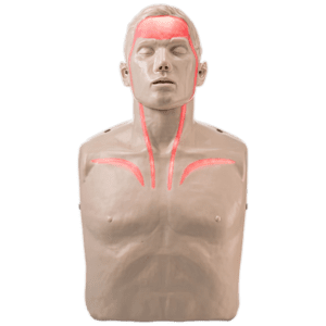 FAT-KP2_02_1000px_61ea8436d319bdf760d184d2b2742922.png