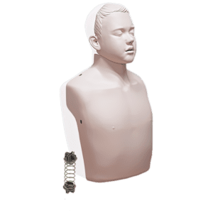 IM13-J_01_1000px_38d2af55cccd377b7914ae75f0433751-1.png